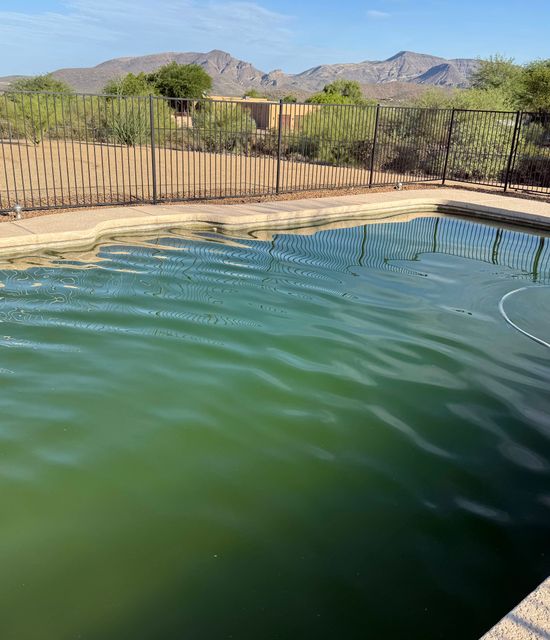green pool before cleaning treatment